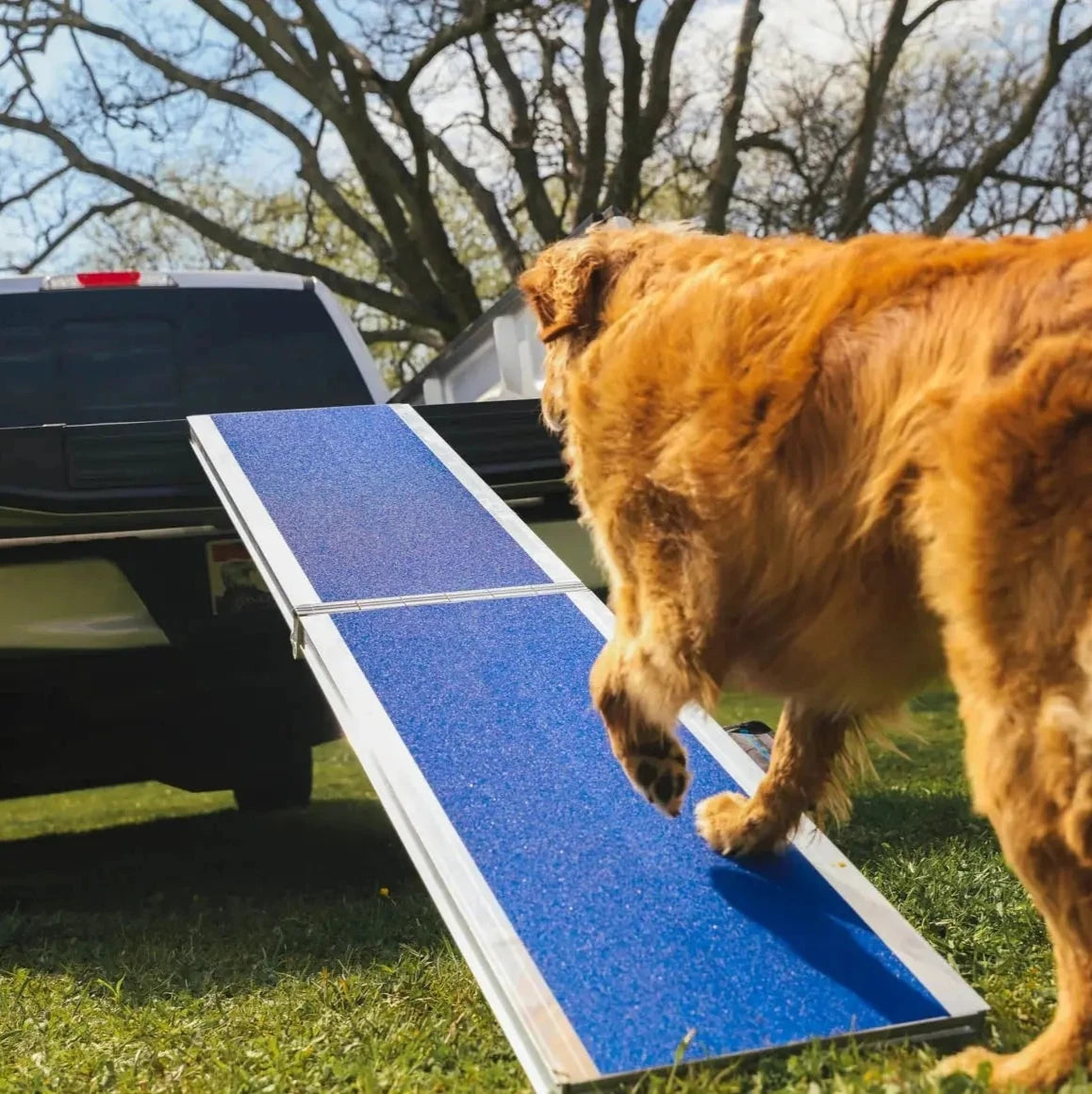 EZ-ACCESS Portable Pet Ramp EZ-Access