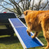 EZ-ACCESS Portable Pet Ramp EZ-Access