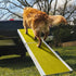 EZ-ACCESS Portable Pet Ramp EZ-Access