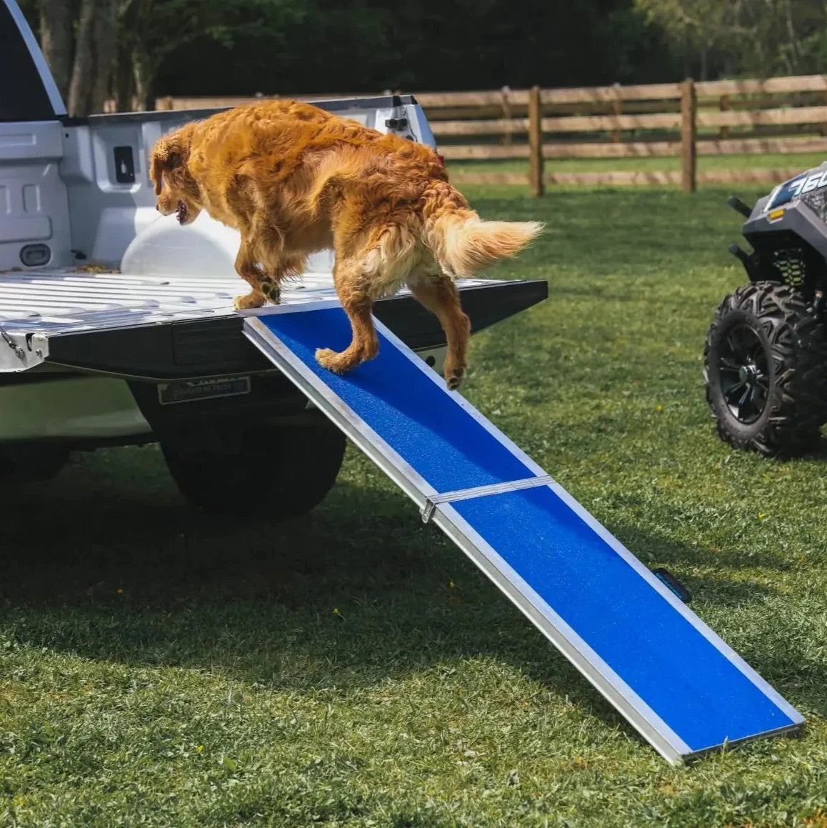 EZ-ACCESS Portable Pet Ramp EZ-Access