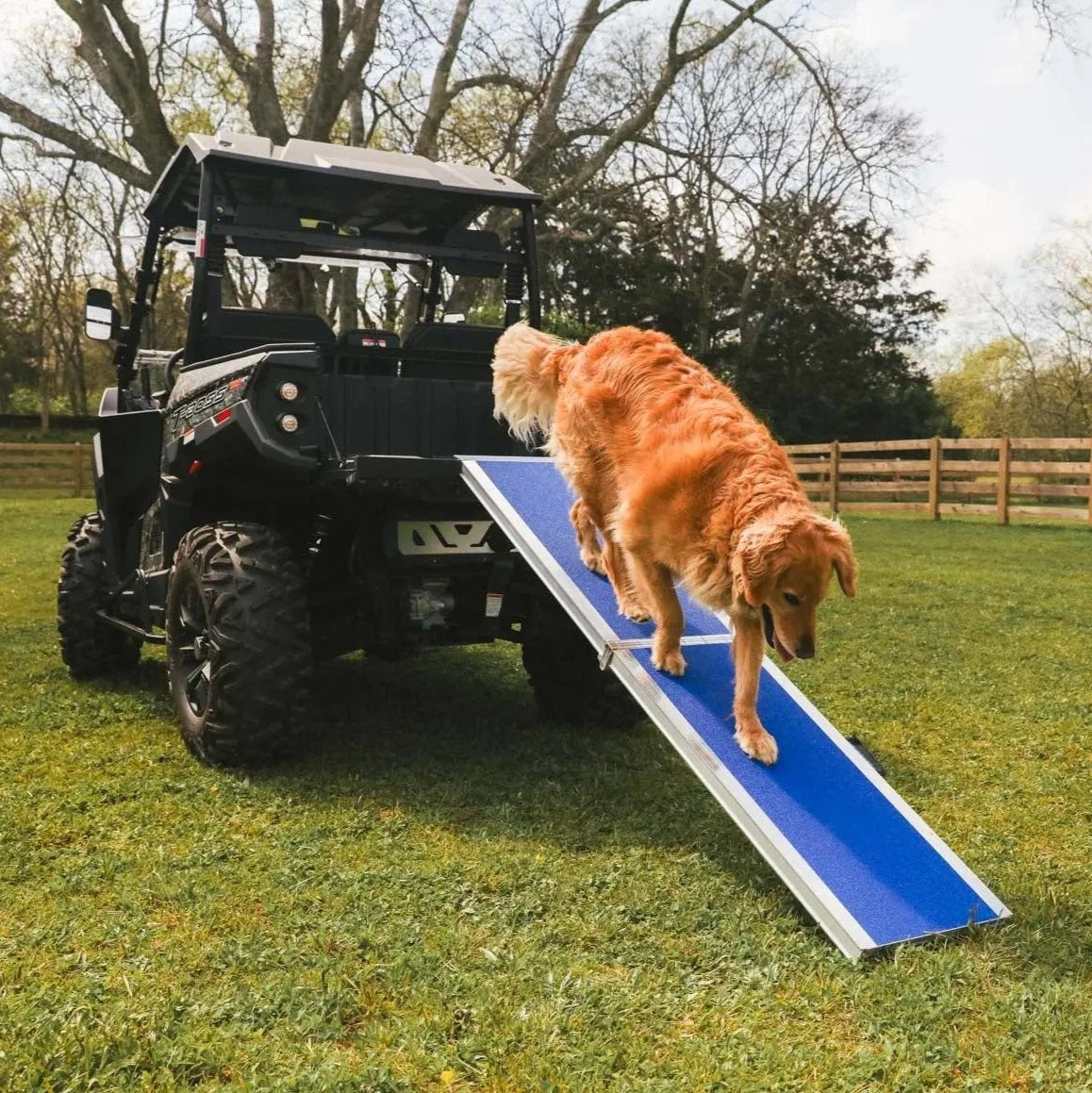 EZ-ACCESS Portable Pet Ramp EZ-Access