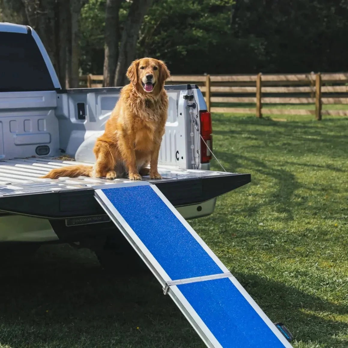 EZ-ACCESS Portable Pet Ramp EZ-Access